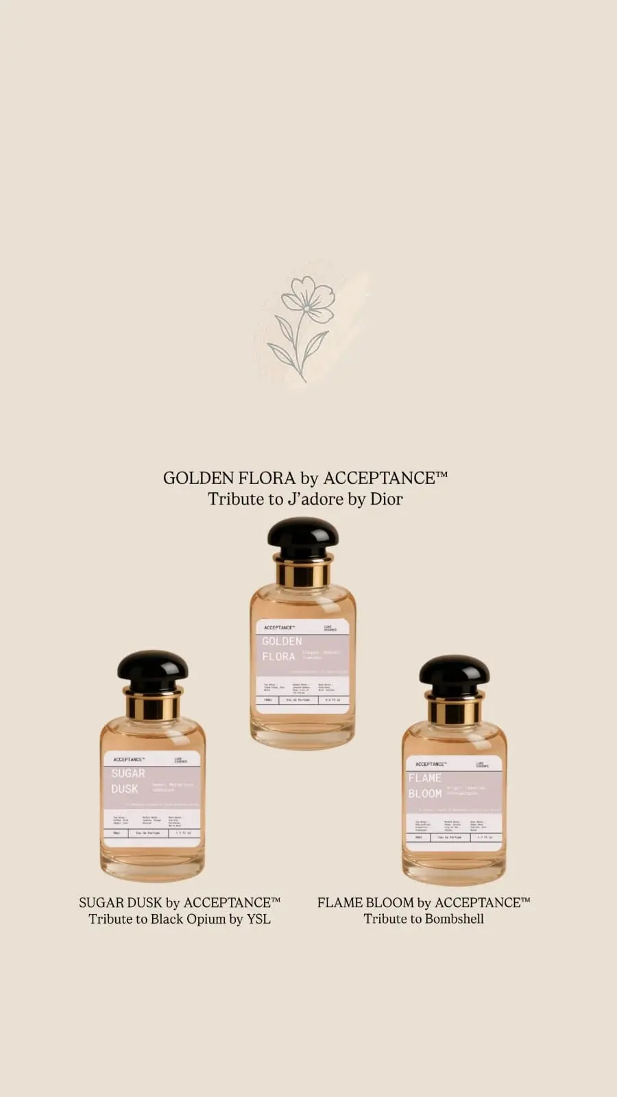 ACCEPTANCE™ Ladies Perfume Bundle – 3 Signature Scents - ACCEPTANCE